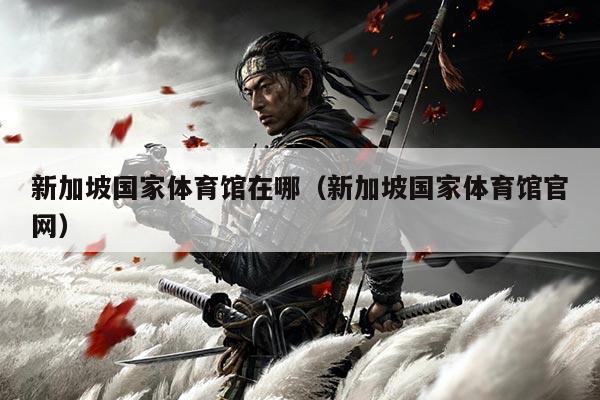 新加坡国家体育馆在哪(新加坡国家体育馆官网)