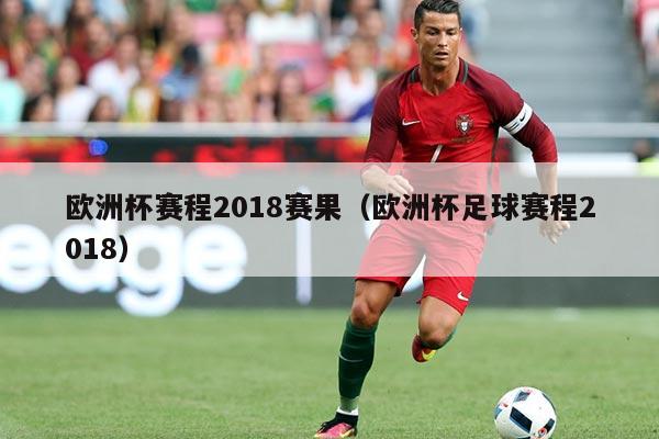 欧洲杯赛程2018赛果(欧洲杯足球赛程2018)