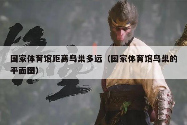 国家体育馆距离鸟巢多远（国家体育馆鸟巢的平面图）