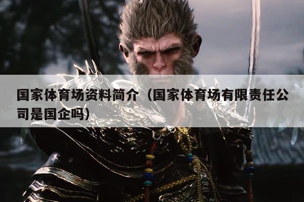 国家体育场资料简介（国家体育场有限责任公司是国企吗）