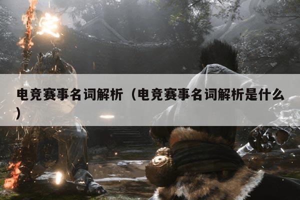 电竞赛事名词解析（电竞赛事名词解析是什么）