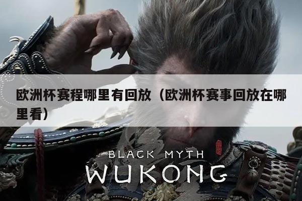 欧洲杯赛程哪里有回放(欧洲杯赛事回放在哪里看)