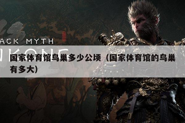 国家体育馆鸟巢多少公顷（国家体育馆的鸟巢有多大）