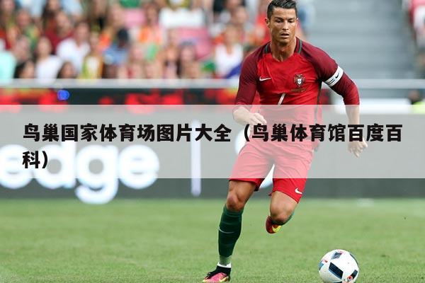 鸟巢国家体育场图片大全（鸟巢体育馆百度百科）