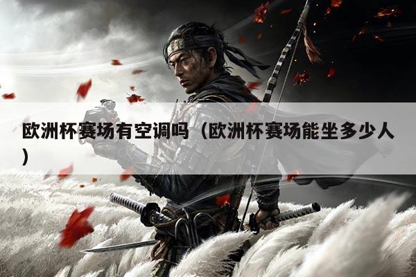 欧洲杯赛场有空调吗(欧洲杯赛场能坐多少人)