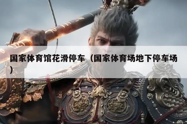 国家体育馆花滑停车（国家体育场地下停车场）