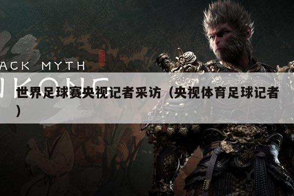 世界足球赛央视记者采访(央视体育足球记者)