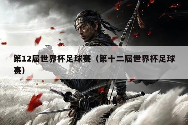 第12届世界杯足球赛（第十二届世界杯足球赛）