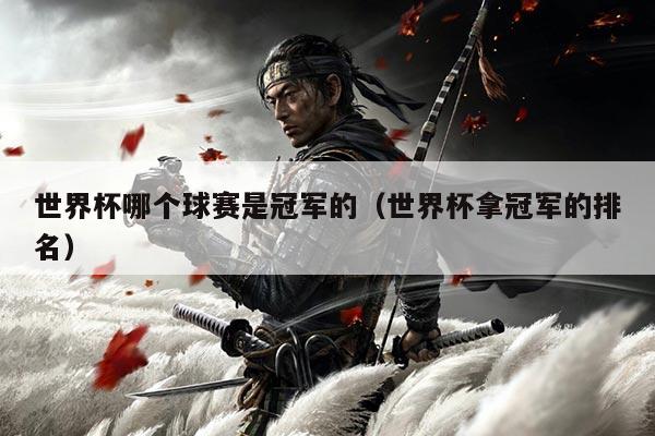 世界杯哪个球赛是冠军的（世界杯拿冠军的排名）