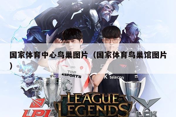国家体育中心鸟巢图片（国家体育鸟巢馆图片）