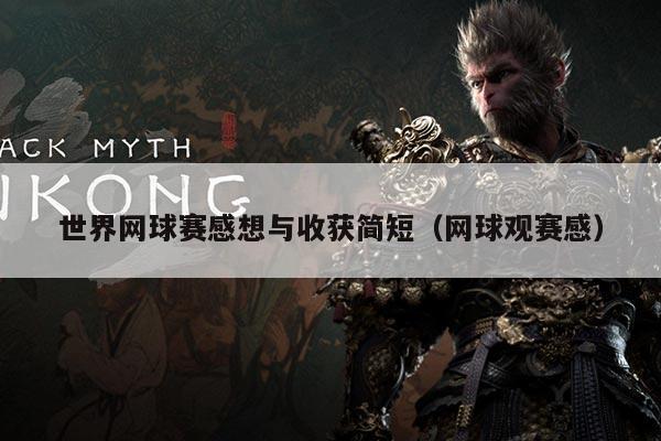 世界网球赛感想与收获简短(网球观赛感)