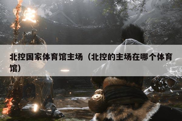 北控国家体育馆主场(北控的主场在哪个体育馆)
