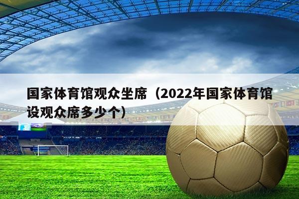 国家体育馆观众坐席（2022年国家体育馆设观众席多少个）