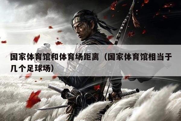 国家体育馆和体育场距离(国家体育馆相当于几个足球场)