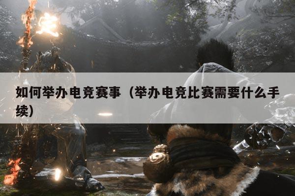 如何举办电竞赛事（举办电竞比赛需要什么手续）
