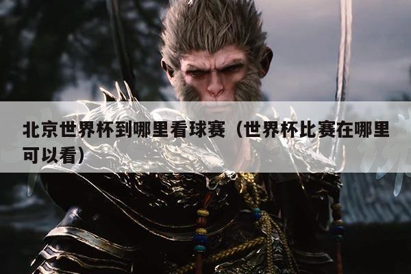 北京世界杯到哪里看球赛（世界杯比赛在哪里可以看）