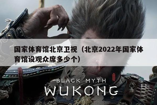 国家体育馆北京卫视（北京2022年国家体育馆设观众席多少个）