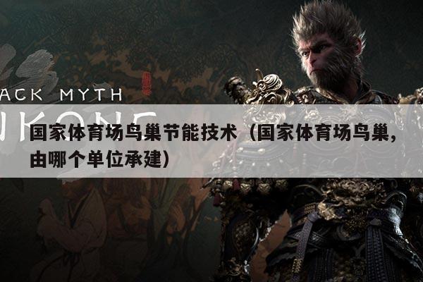 国家体育场鸟巢节能技术（国家体育场鸟巢,由哪个单位承建）
