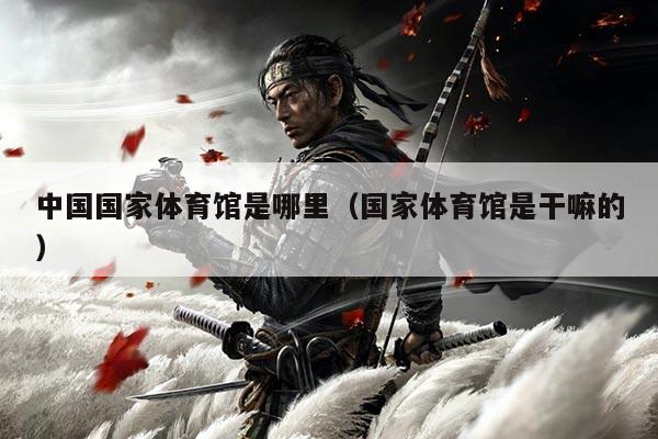 中国国家体育馆是哪里(国家体育馆是干嘛的)