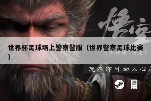 世界杯足球场上警察警服（世界警察足球比赛）